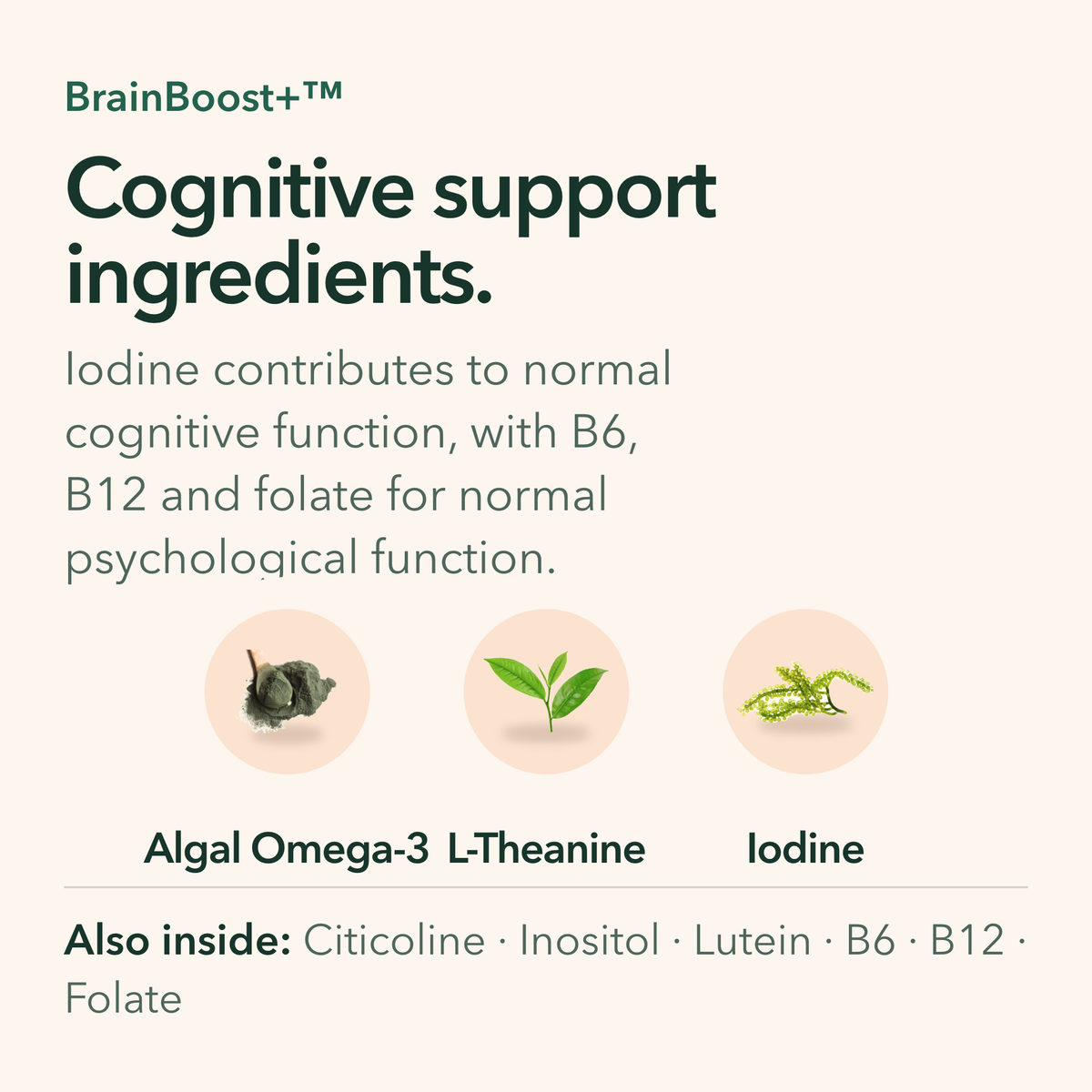 Cognitive support ingredients: algal Omega-3, L-Theanine and iodine, with citicoline, inositol, lutein, B6, B12 and folate also in the formula