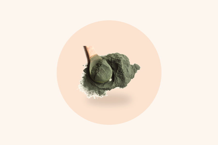 Green algae powder on a wooden spoon, the source of the algal DHA and EPA in BrainBoost+